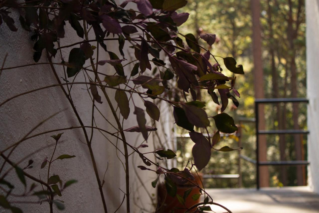 Villa Encino House Valle de Bravo Exterior foto